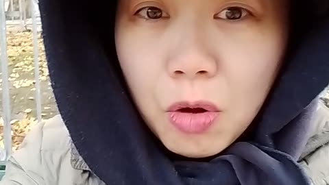 259 Portugal Diaries Day 5 quantum