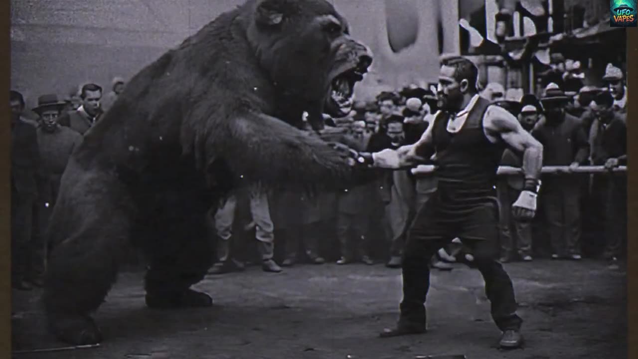 "I work like I drink.. alone.. but with a monkey watching me.”