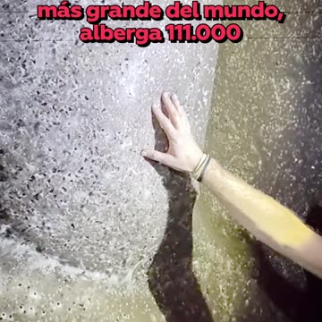 ¡Aracnofóbicos, escóndanse!: Descubren la telaraña más grande del mundo, hogar de 111.000 arañas