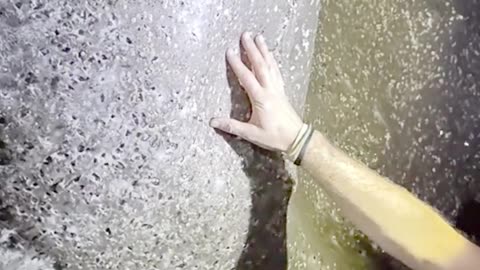 ¡Aracnofóbicos, escóndanse!: Descubren la telaraña más grande del mundo, hogar de 111.000 arañas