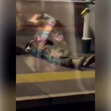 OPEN BOARDERS 🇬🇧