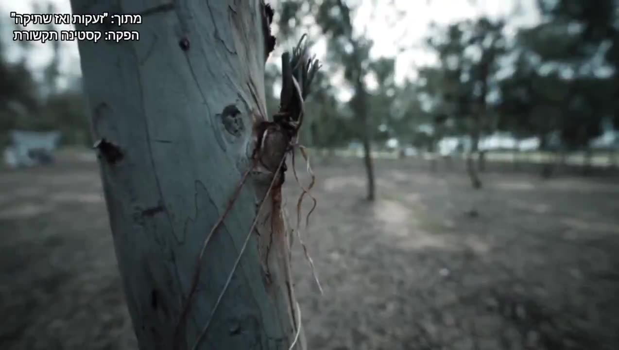 Horrifying testimony of Rami Davidian, who saved over 750 Israelis on October 7th,