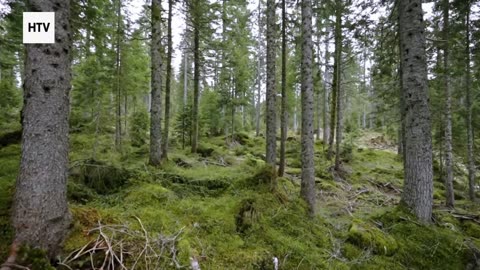 Journey Through Earth’s Hidden Paradises