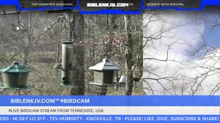 BIBLENKJV.COM™ 12/11/2025 #LIVE #BIRDCAM #WEATHER
