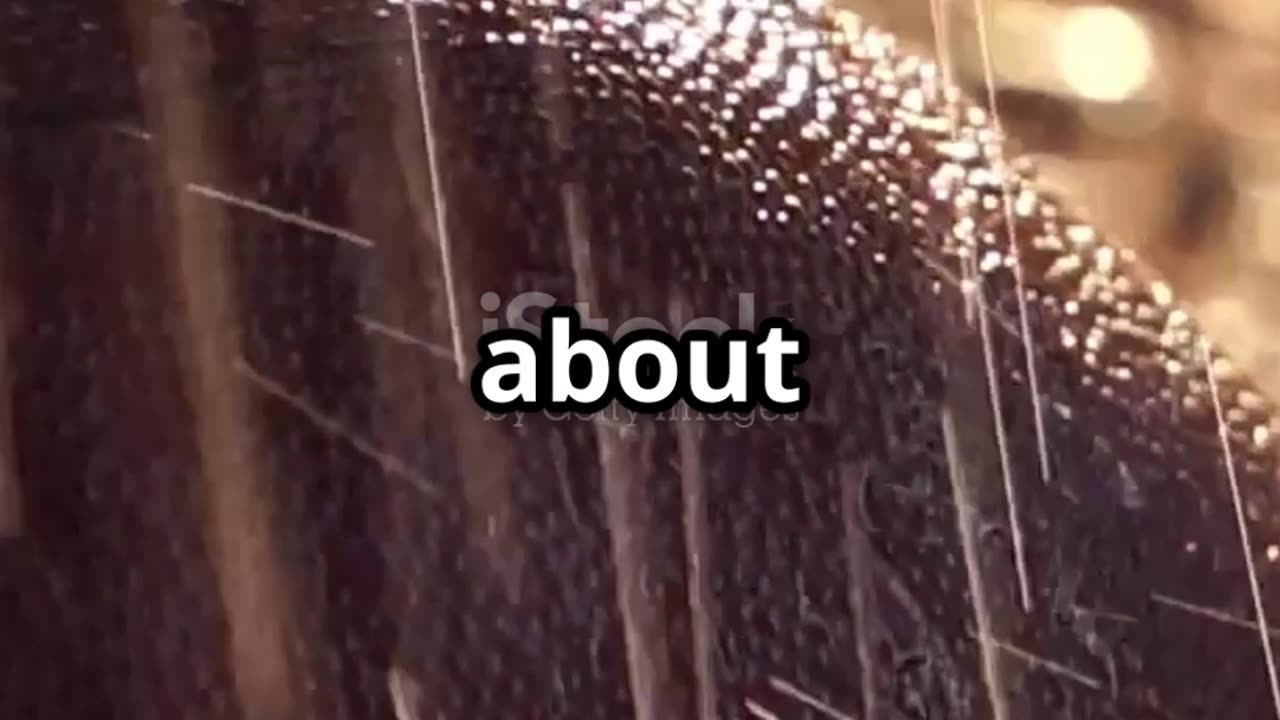 Notre Dame's Dynamic Duo: Love & Price Shine