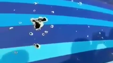 Attentato aereo Azerbaijan Airlines : è stato un attentato