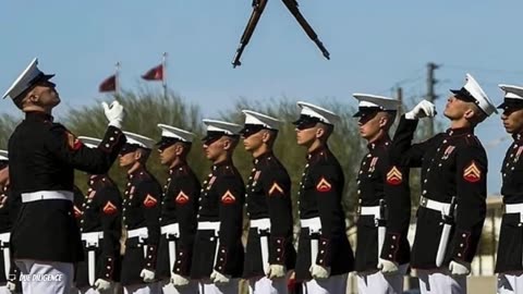 Beers and Bros ep237 (+2)