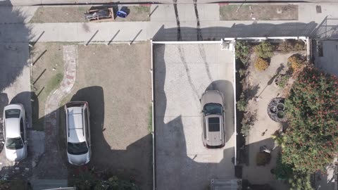 Neighbor Took the Car Out on Fresh Laid Tar