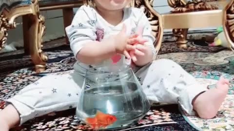 Yasi & Fish