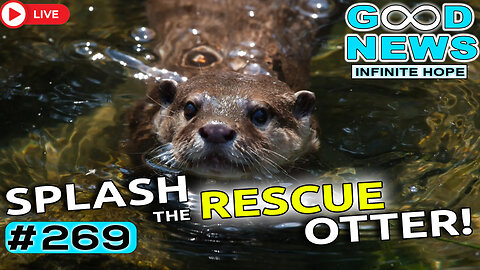 Splash the Rescue Otter & Winter Heroes Step Up | GOOD NEWS – Infinite Hope #269