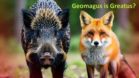 Geomagus is Greatus?