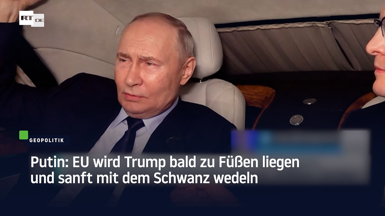 Putin: EU wird Trump bald zu Füßen liegen und sanft mit dem Schwanz wedeln