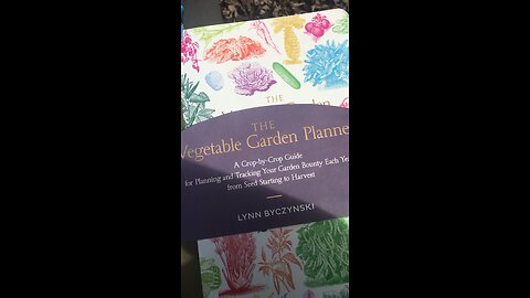 Butterfly Pea plant