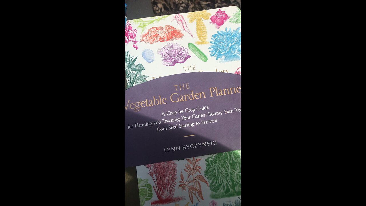 Butterfly Pea plant