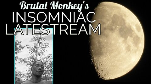 Monkey Biz Mondays: Chimping Out!