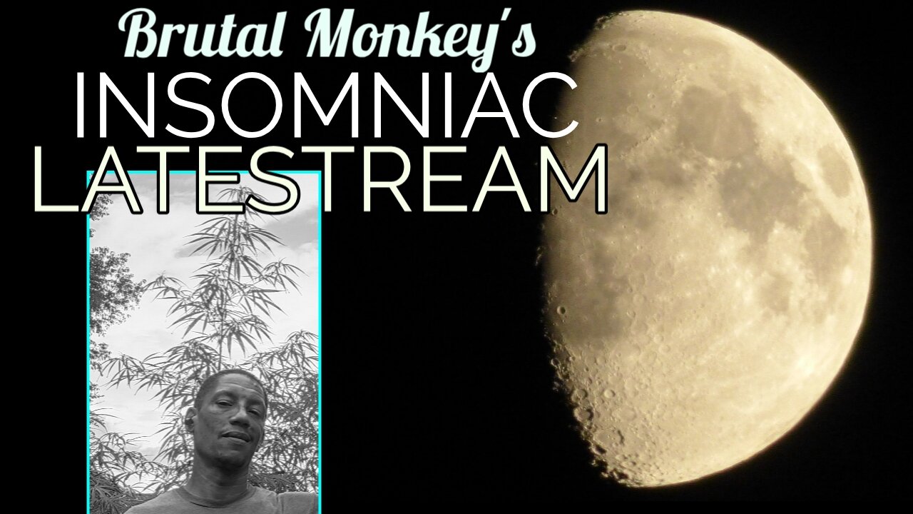 Monkey Biz Mondays: Chimping Out!