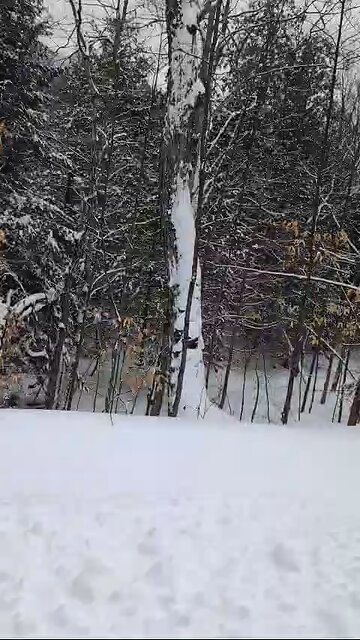 Come and Plow Our Driveway Wiith Me❄️