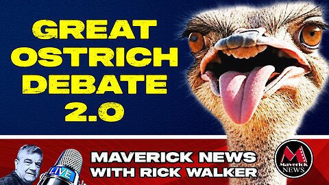 Urgent Fight to Save 300 Ostriches: Supreme Court Decision Looms in Edgewood B.C. Cull Controversy