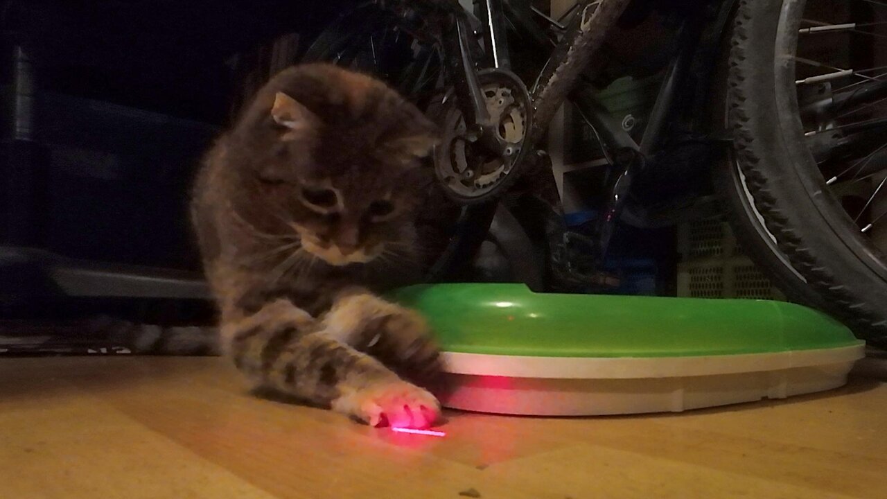 Odikatzi spielt, 03.10.2025 [A] Kugel & Laser