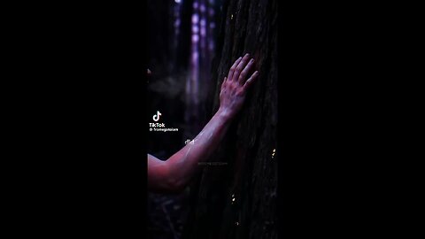 Touching A Tree Can Reset Your Entire System!? 🪾🌴👐🏼