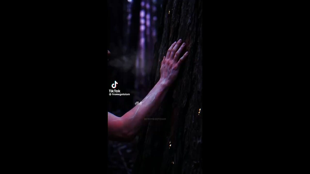 Touching A Tree Can Reset Your Entire System!? 🪾🌴👐🏼