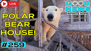 Polar Bears Take Over a House + Teen Saves Stepfather w CPR & MORE | GOOD NEWS – Infinite Hope #259