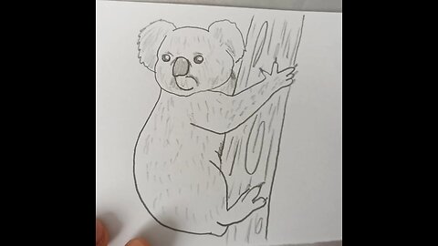 How to draw a koala 🐨