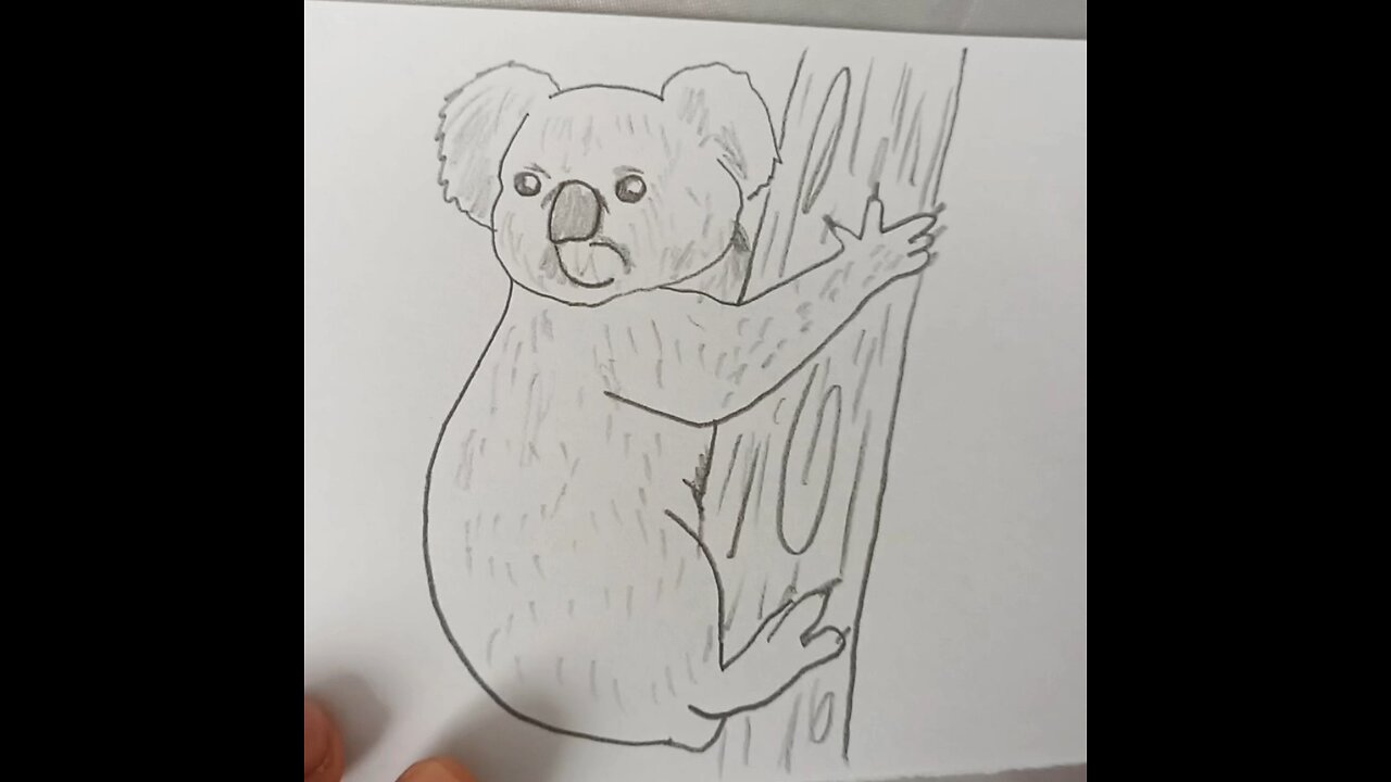 How to draw a koala 🐨