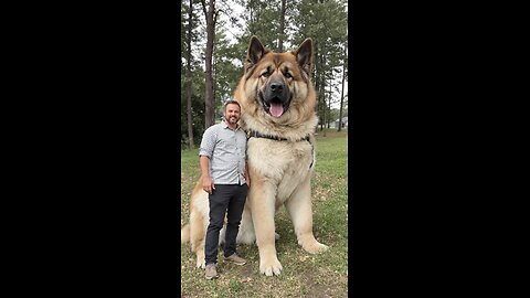just love my new dog