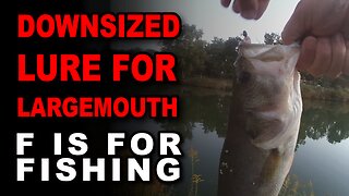 Downsized Lure For Largemouth
