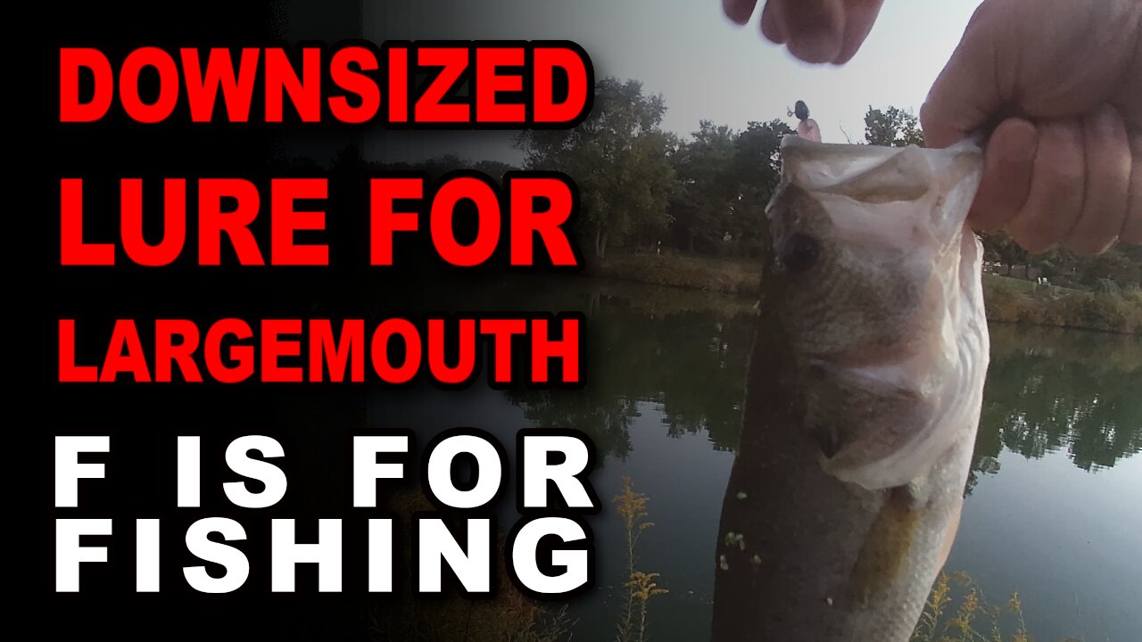 Downsized Lure For Largemouth