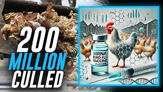 Over 200 Million Chickens Killed Under Biden Admin's Watch