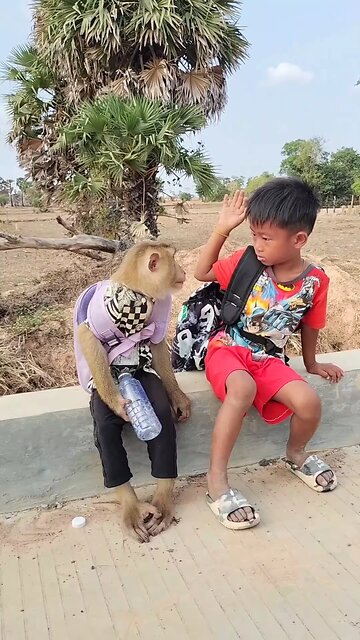 Good Job Best SokYaa, OG, Pao & Mom Are Famous Around The World #shorts #anime #trend #edit