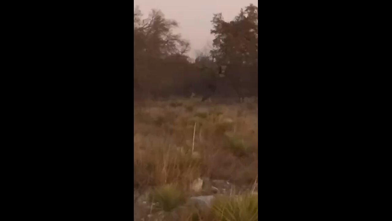 Cheyanne first Texas doe hunt