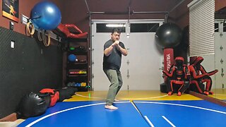 WTD 2 Step Kick Combination 33