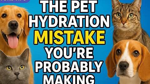 The Most Overlooked Mistake Pet Owners Make About Hydration.