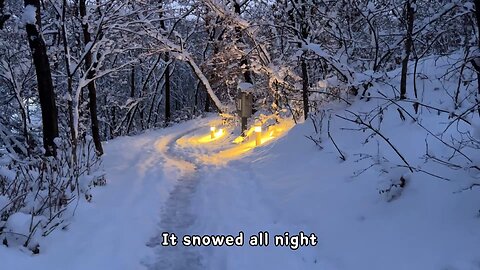 A beautiful snow scene world with white snow in Korea