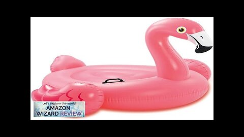 INTEX Ride-On Inflatable Pool Float Review