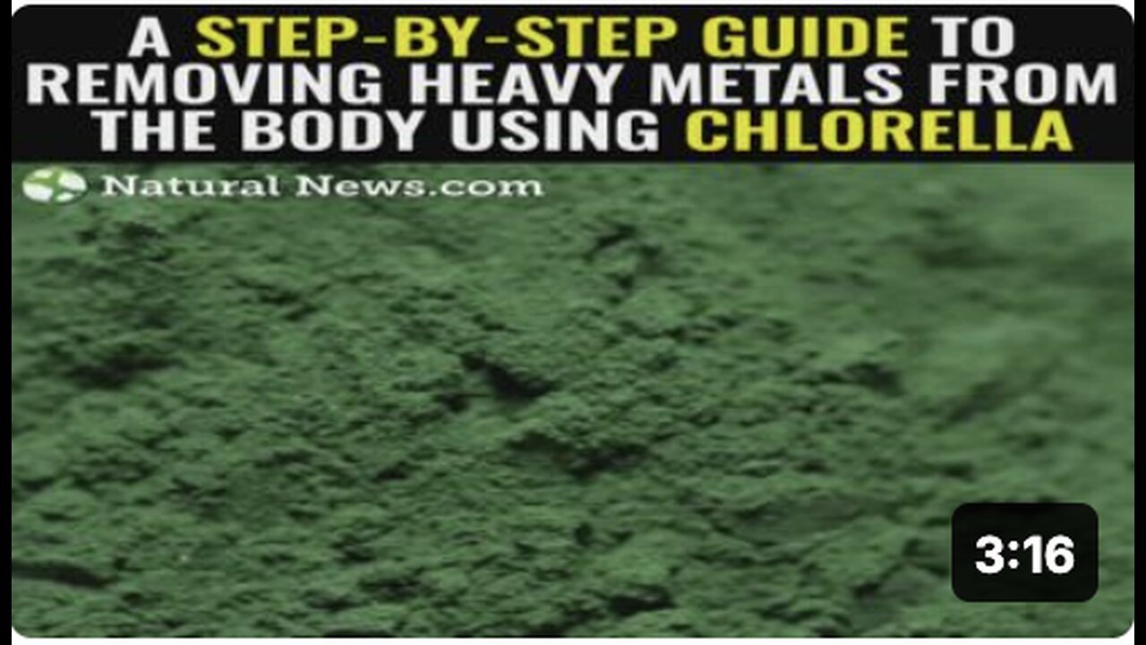 A step-by-step guide to removing heavy metals from the body using chlorella