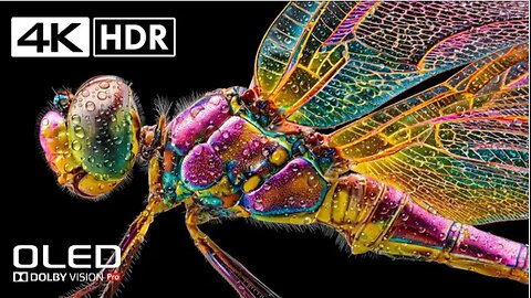 Incredible HDR in stunning 4K at 120 FPS - Dolby Vision (8K / 4K TV)