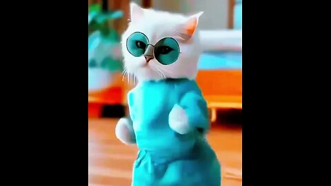 new funny cats and dogs, cat and dog video,funnisd animal 2025😀, cat cuta, 😚