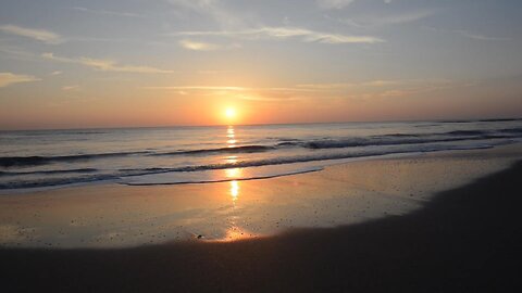 Ambient Calm Sounds with LIGHT GONG BELL AT 1 & 2 HOUR MARK concentration forest and beach scenes