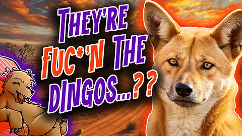 THEY'RE FUC*'N THE DINGOS???...