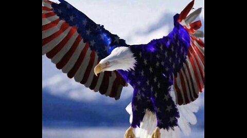 FUN 🤩 TIME FOLLIES / MEMES & DISCLOSURE :