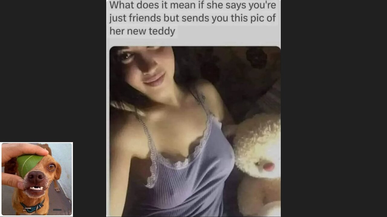 Meme compilation Episodes 576-580.