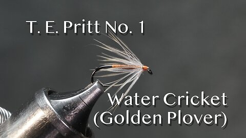 T. E. Pritt’s No. 1 - Water Cricket with Golden Plover
