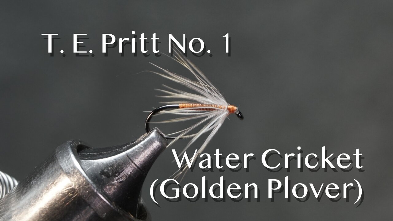 T. E. Pritt’s No. 1 - Water Cricket with Golden Plover