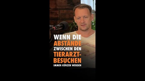 😱🐶🐾 Wenn die Abstände zwischen den Tierarzt-Besuchen immer kürzer werden.
