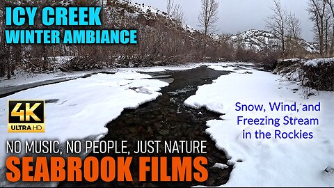 Icy Creek Winter Ambiance: Snow, Wind, and Freezing Stream in the Rockies