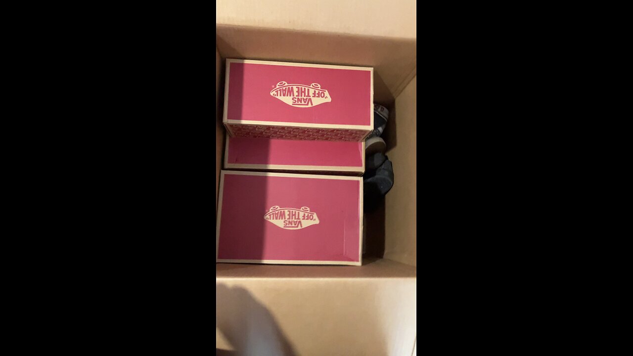 My Canvas Shoes